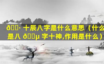 🕷 十辰八字是什么意思（什么是八 🌵 字十神,作用是什么）